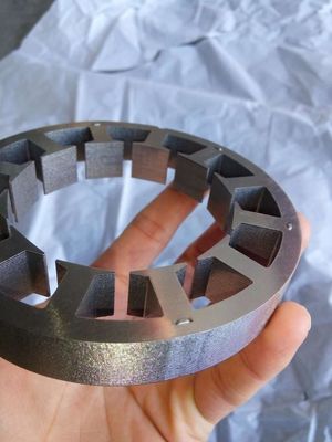Προσαρμοσμένο 12 Slots Brushless Stator και Magnetic Slots Rotor με επιλογή υλικού